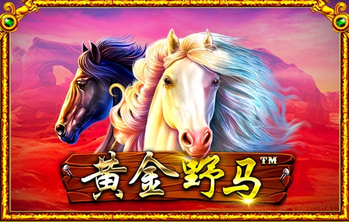 香港最准资料免费公开截图1