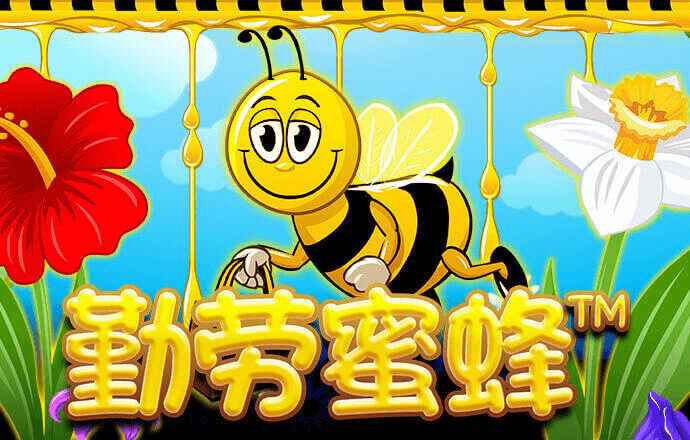 b体育最新下载入口